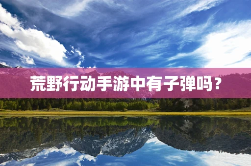 荒野行动手游中有子弹吗？