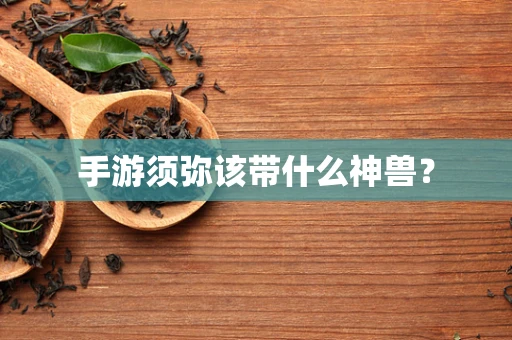 手游须弥该带什么神兽？