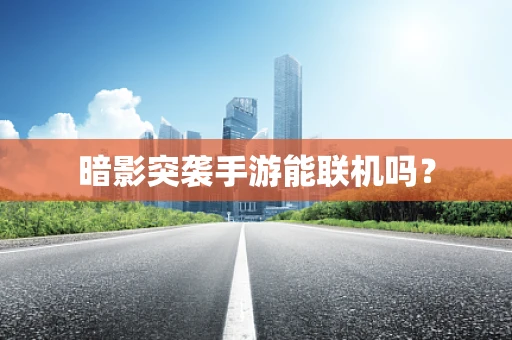 暗影突袭手游能联机吗？