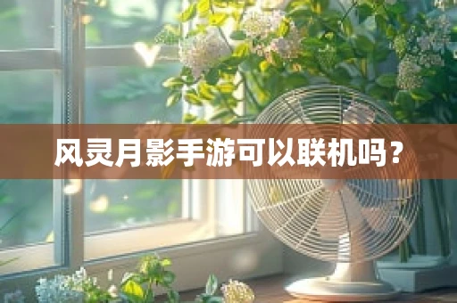 风灵月影手游可以联机吗？