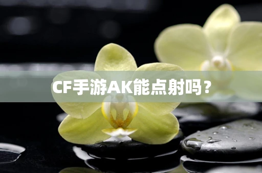 CF手游AK能点射吗？
