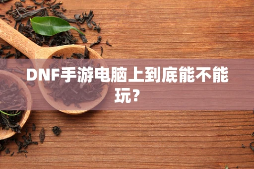 DNF手游电脑上到底能不能玩？