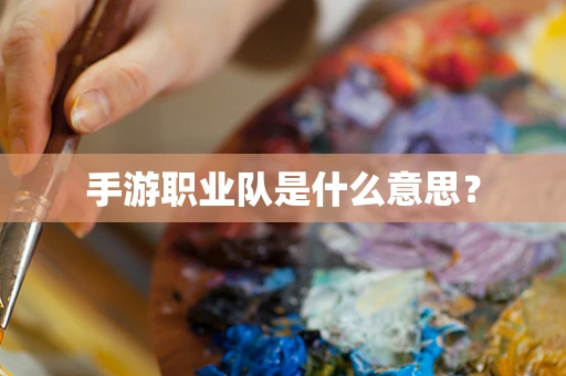 手游职业队是什么意思？