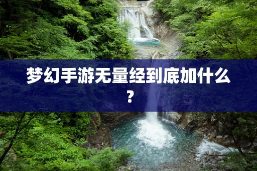梦幻手游无量经到底加什么？