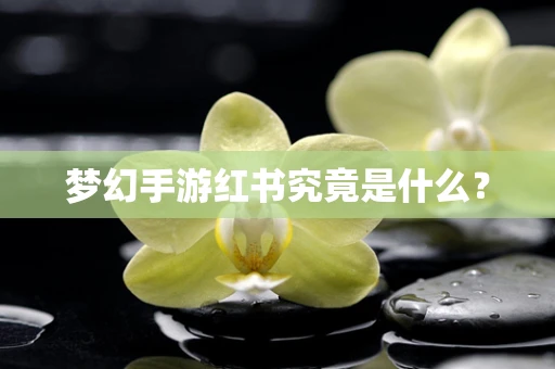 梦幻手游红书究竟是什么？