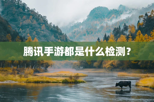 腾讯手游都是什么检测？