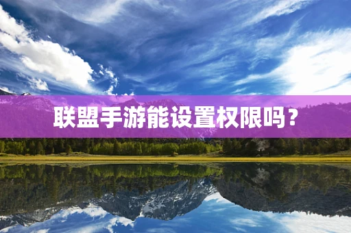 联盟手游能设置权限吗？