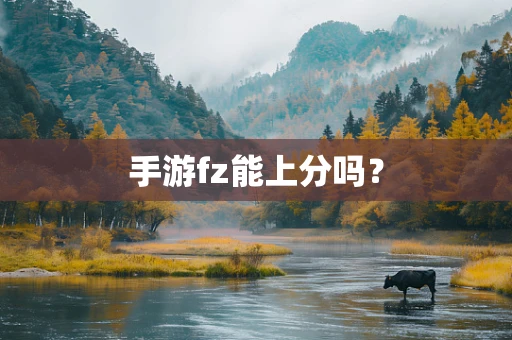 手游fz能上分吗？