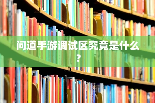 问道手游调试区究竟是什么？