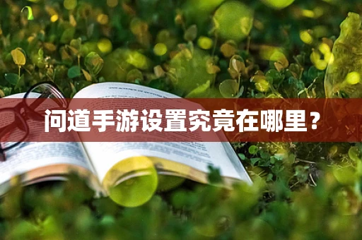 问道手游设置究竟在哪里？