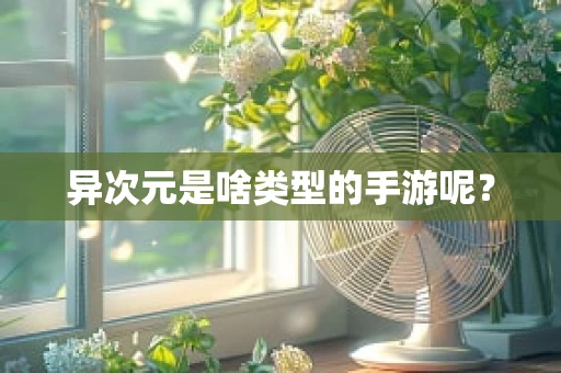 异次元是啥类型的手游呢？