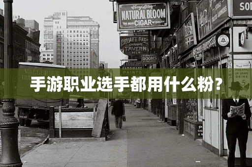 手游职业选手都用什么粉？