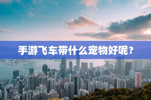 手游飞车带什么宠物好呢？