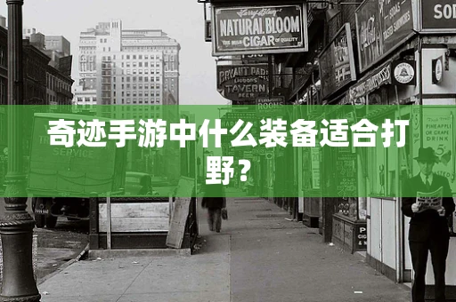 奇迹手游中什么装备适合打野？