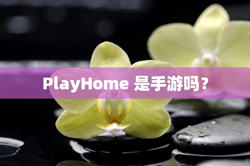 PlayHome 是手游吗？