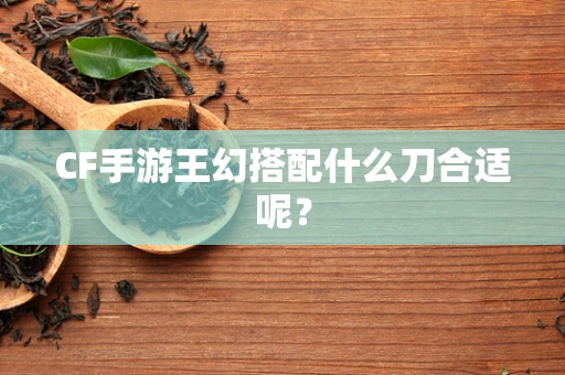 CF手游王幻搭配什么刀合适呢？