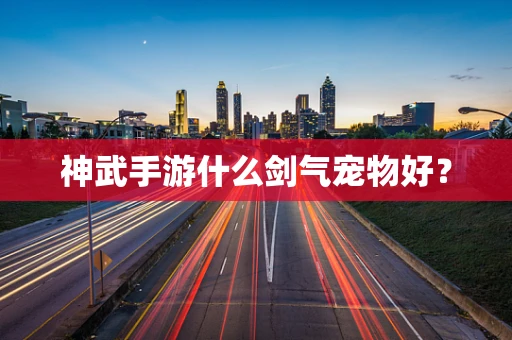 神武手游什么剑气宠物好？