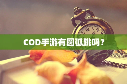 COD手游有圆弧跳吗？