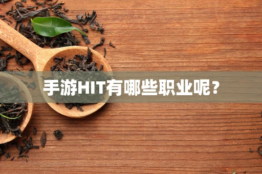 手游HIT有哪些职业呢？