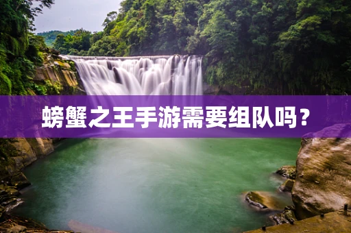 螃蟹之王手游需要组队吗？