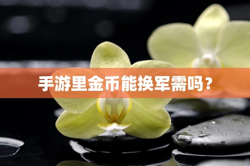 手游里金币能换军需吗？