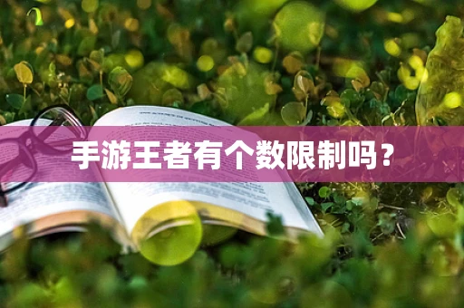 手游王者有个数限制吗？
