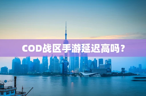 COD战区手游延迟高吗？