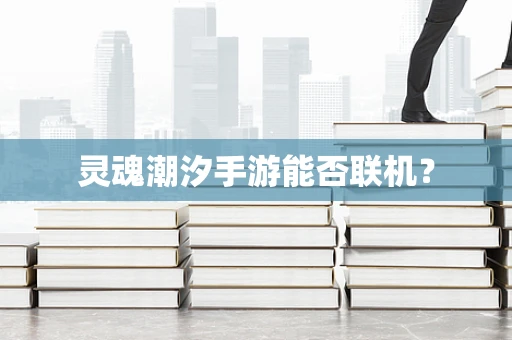 灵魂潮汐手游能否联机？