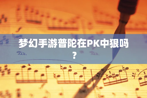 梦幻手游普陀在PK中狠吗？