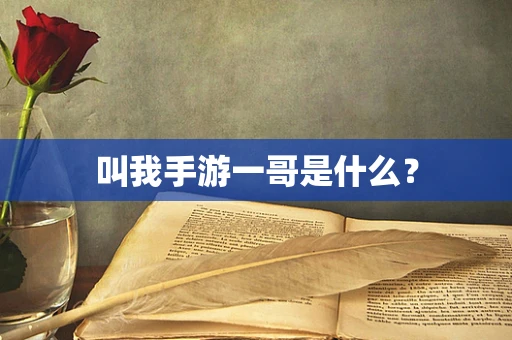 叫我手游一哥是什么？