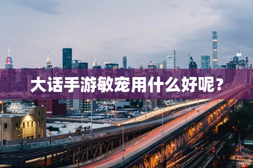 大话手游敏宠用什么好呢？