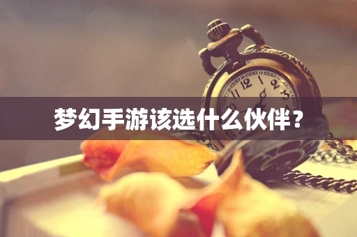 梦幻手游该选什么伙伴？