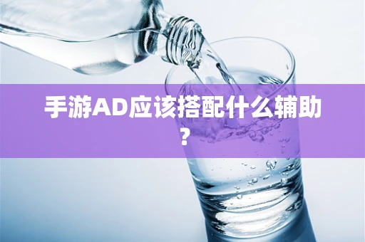 手游AD应该搭配什么辅助？