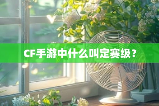 CF手游中什么叫定赛级？