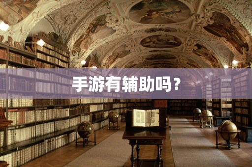 手游有辅助吗？
