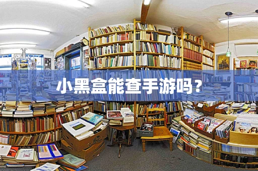 小黑盒能查手游吗？