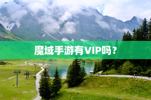 魔域手游有VIP吗？