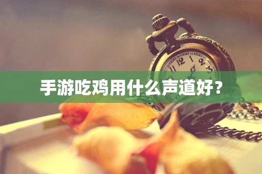 手游吃鸡用什么声道好？