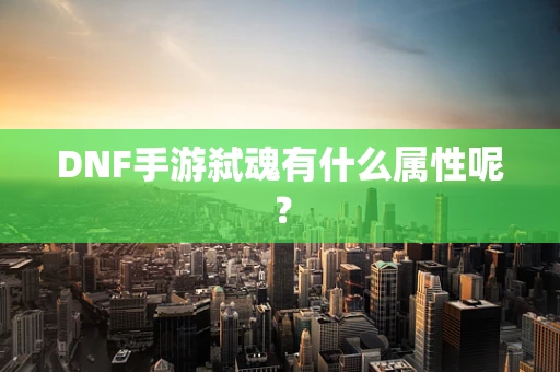 DNF手游弑魂有什么属性呢？