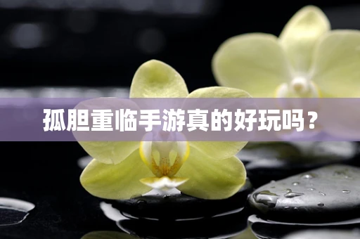 孤胆重临手游真的好玩吗？