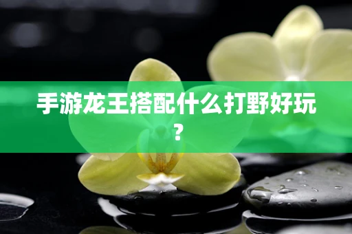 手游龙王搭配什么打野好玩？
