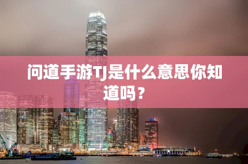 问道手游TJ是什么意思你知道吗？