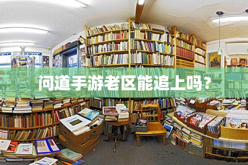 问道手游老区能追上吗？