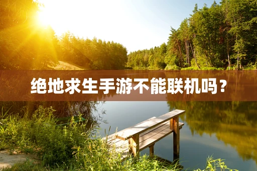 绝地求生手游不能联机吗？