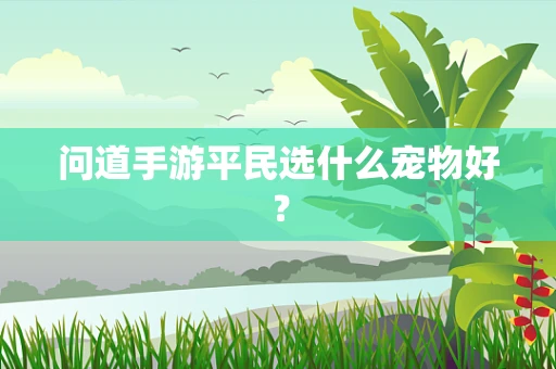 问道手游平民选什么宠物好？
