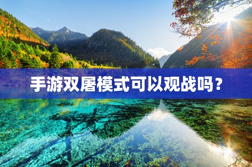 手游双屠模式可以观战吗？