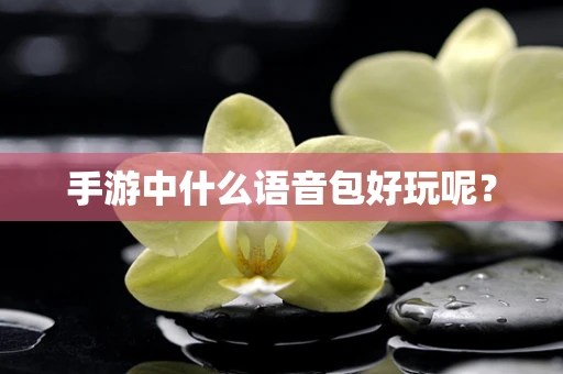 手游中什么语音包好玩呢？