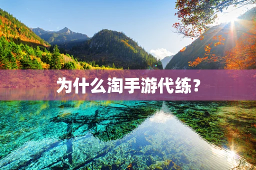 为什么淘手游代练？