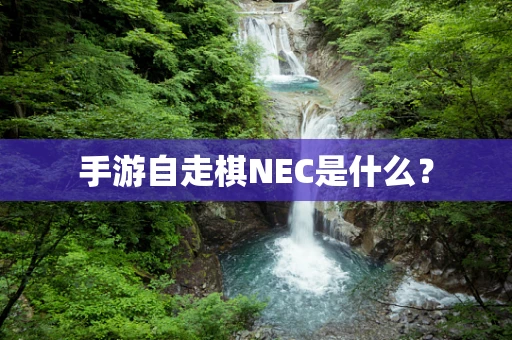 手游自走棋NEC是什么？