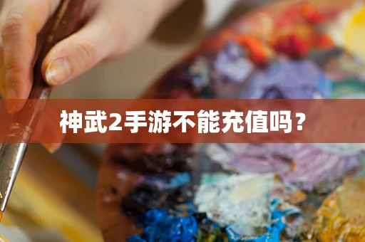 神武2手游不能充值吗？